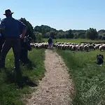 Hotel,herberg & De Smidse Hotel *