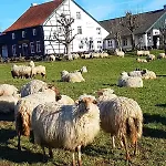 Hotel,herberg & De Smidse