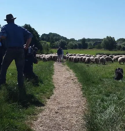 Hotel,herberg & De Smidse Hotel *