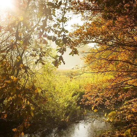 Hotel,herberg & De Smidse