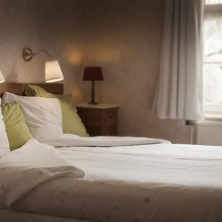 Отель Hotel,herberg & De Smidse *