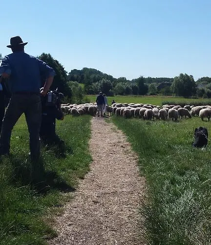 Hotel,herberg & De Smidse Hotel *