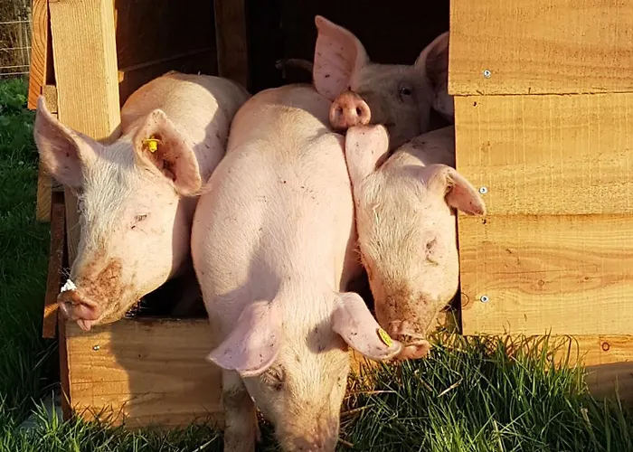 Hotel Hotel,herberg & De Smidse *