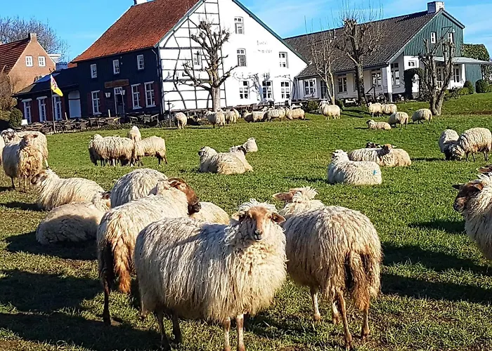 Hotel,herberg & De Smidse
