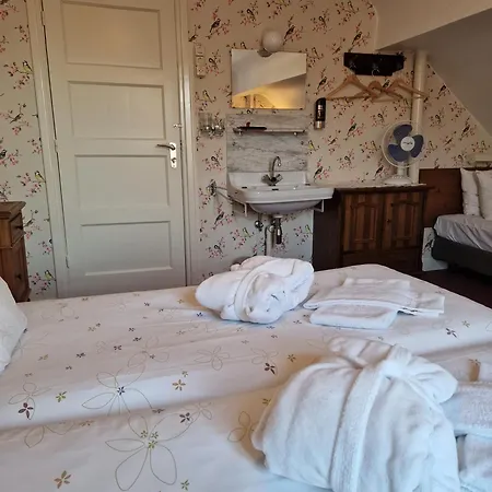 Hotel Hotel,herberg&appartementen De Smidse *