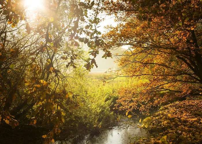 Hotel,herberg & De Smidse